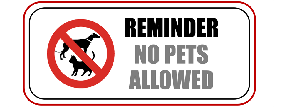 NO PET POLICY