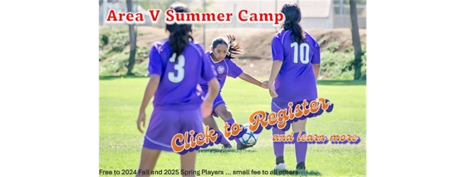 Summer Training Camp